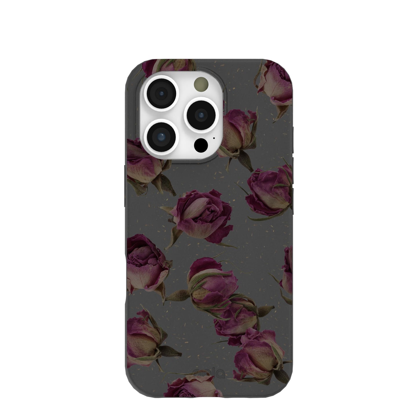 Black Dried Rosebuds iPhone 16 Pro Case